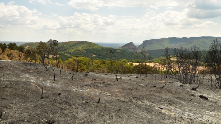 Incendie de Villeneuve-Niozelles le 2 août 2022 (photo PNRL-Lilian Car)